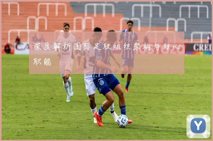 深度解析国际足联组织架构与核心职能